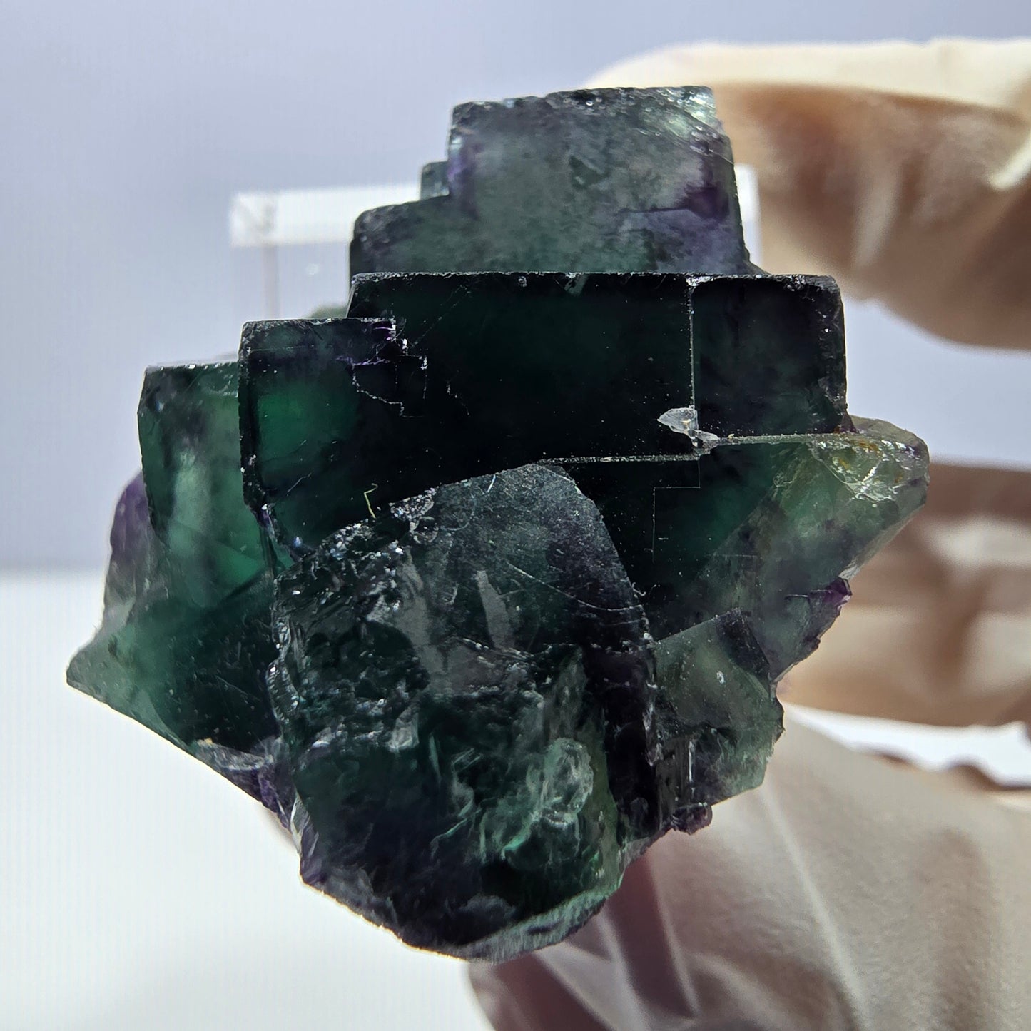 Phantom Fluorit Würfel Stufe, lila grün Okorusu, Namibia 34*29*21mm