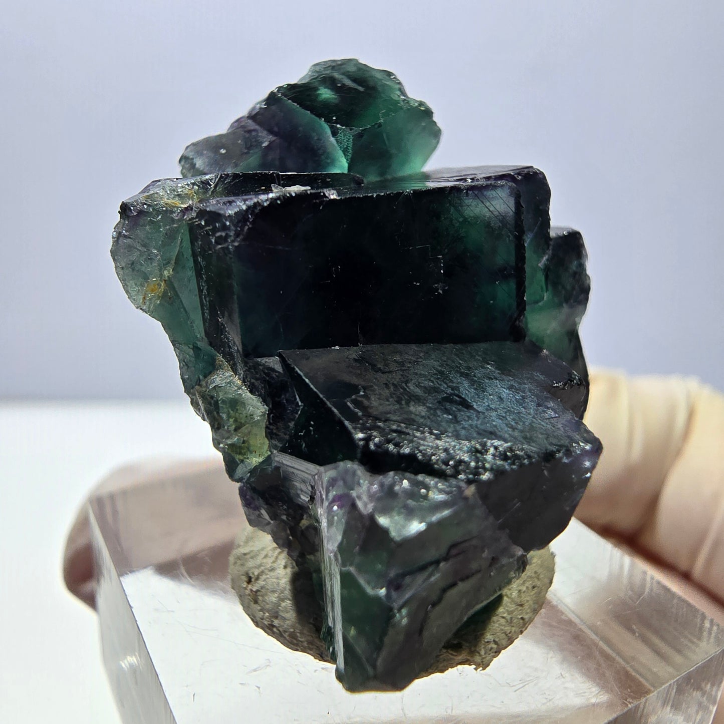 Phantom Fluorit Würfel Stufe, lila grün Okorusu, Namibia 34*29*21mm