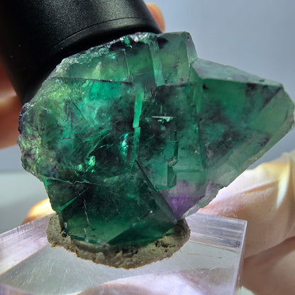 Phantom Fluorit Würfel Stufe, lila grün Okorusu, Namibia 38*32*16mm