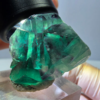 Phantom Fluorit Würfel Stufe, lila grün Okorusu, Namibia 38*32*16mm