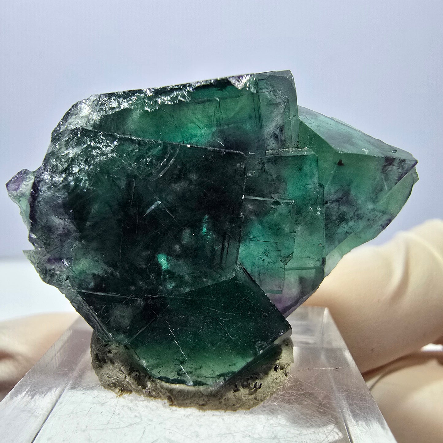 Phantom Fluorit Würfel Stufe, lila grün Okorusu, Namibia 38*32*16mm