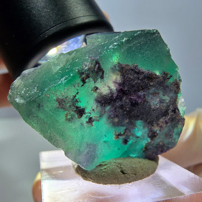 Phantom Fluorit Würfel Stufe, lila grün Okorusu, Namibia 38*32*16mm