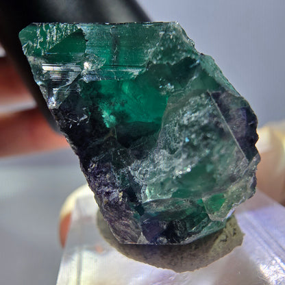 Phantom Fluorit Würfel Stufe, lila grün Okorusu, Namibia 38*32*16mm
