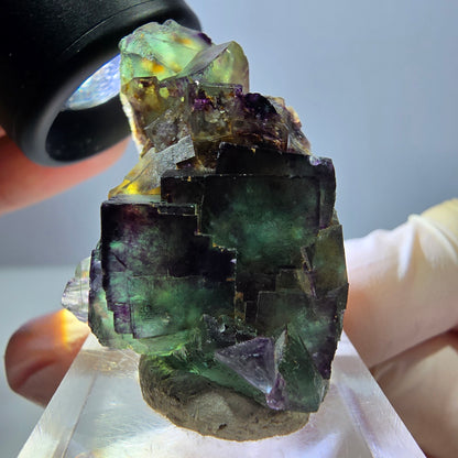 Phantom Fluorit Würfel Stufe, lila grün Okorusu, Namibia 43*29*20mm