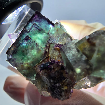 Phantom Fluorit Würfel Stufe, lila grün Okorusu, Namibia 43*29*20mm
