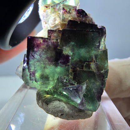 Phantom Fluorit Würfel Stufe, lila grün Okorusu, Namibia 43*29*20mm