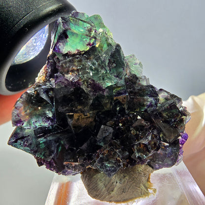 Phantom Fluorit Würfel Stufe, lila grün Okorusu, Namibia 36*35*21mm