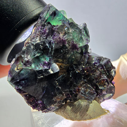Phantom Fluorit Würfel Stufe, lila grün Okorusu, Namibia 36*35*21mm