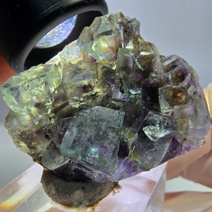 Phantom Fluorit Würfel Stufe, lila grün Okorusu, Namibia 40*30*14mm