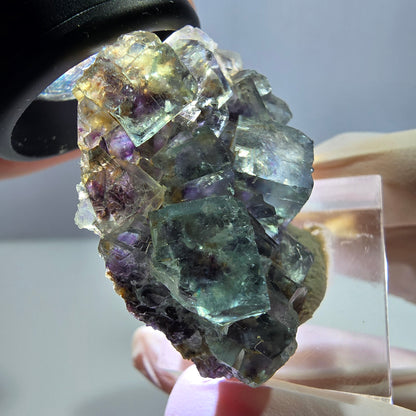 Phantom Fluorit Würfel Stufe, lila grün Okorusu, Namibia 40*30*14mm