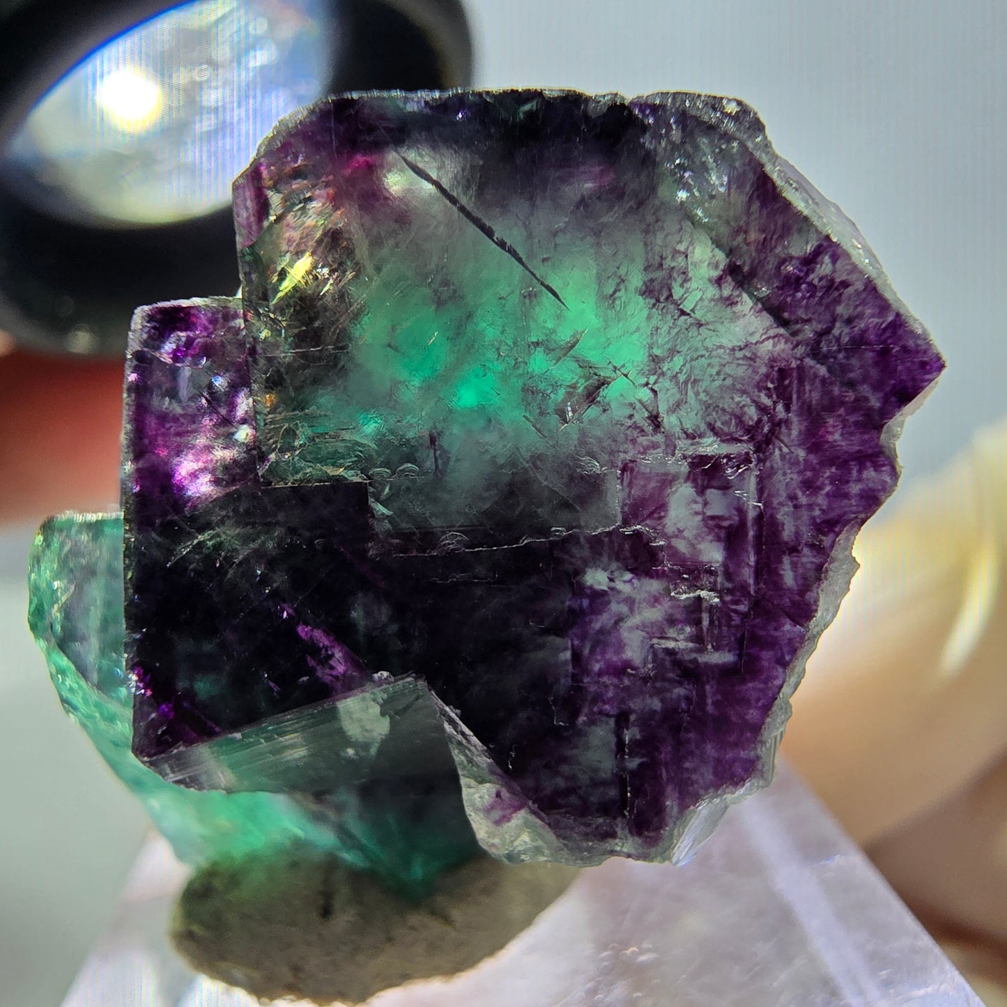 Phantom Fluorit Würfel Stufe, lila grün Okorusu, Namibia 36*22*16mm