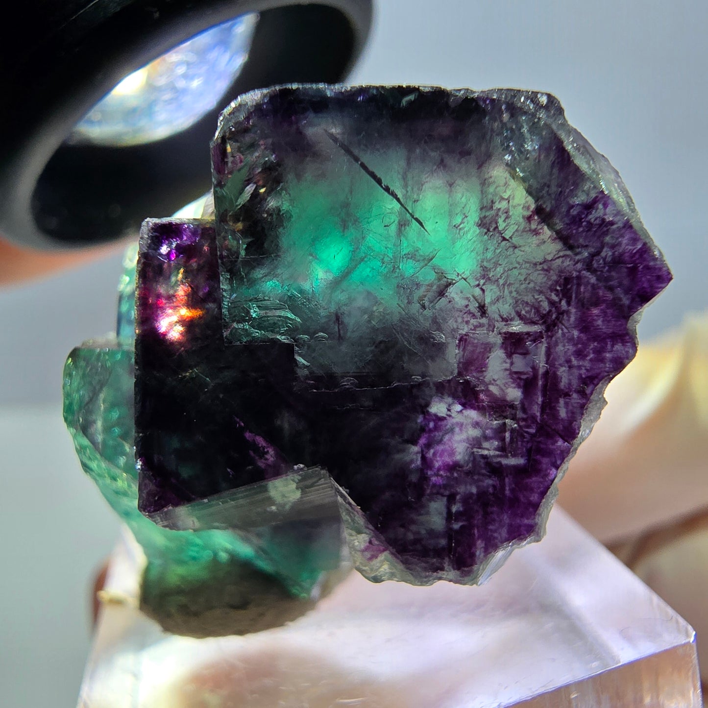 Phantom Fluorit Würfel Stufe, lila grün Okorusu, Namibia 36*22*16mm