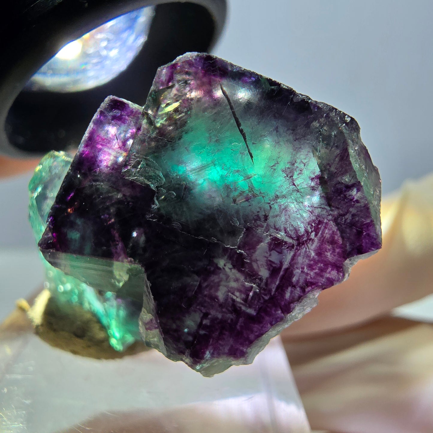 Phantom Fluorit Würfel Stufe, lila grün Okorusu, Namibia 36*22*16mm