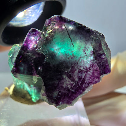 Phantom Fluorit Würfel Stufe, lila grün Okorusu, Namibia 36*22*16mm
