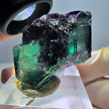 Phantom Fluorit Würfel Stufe, lila grün Okorusu, Namibia 36*22*16mm