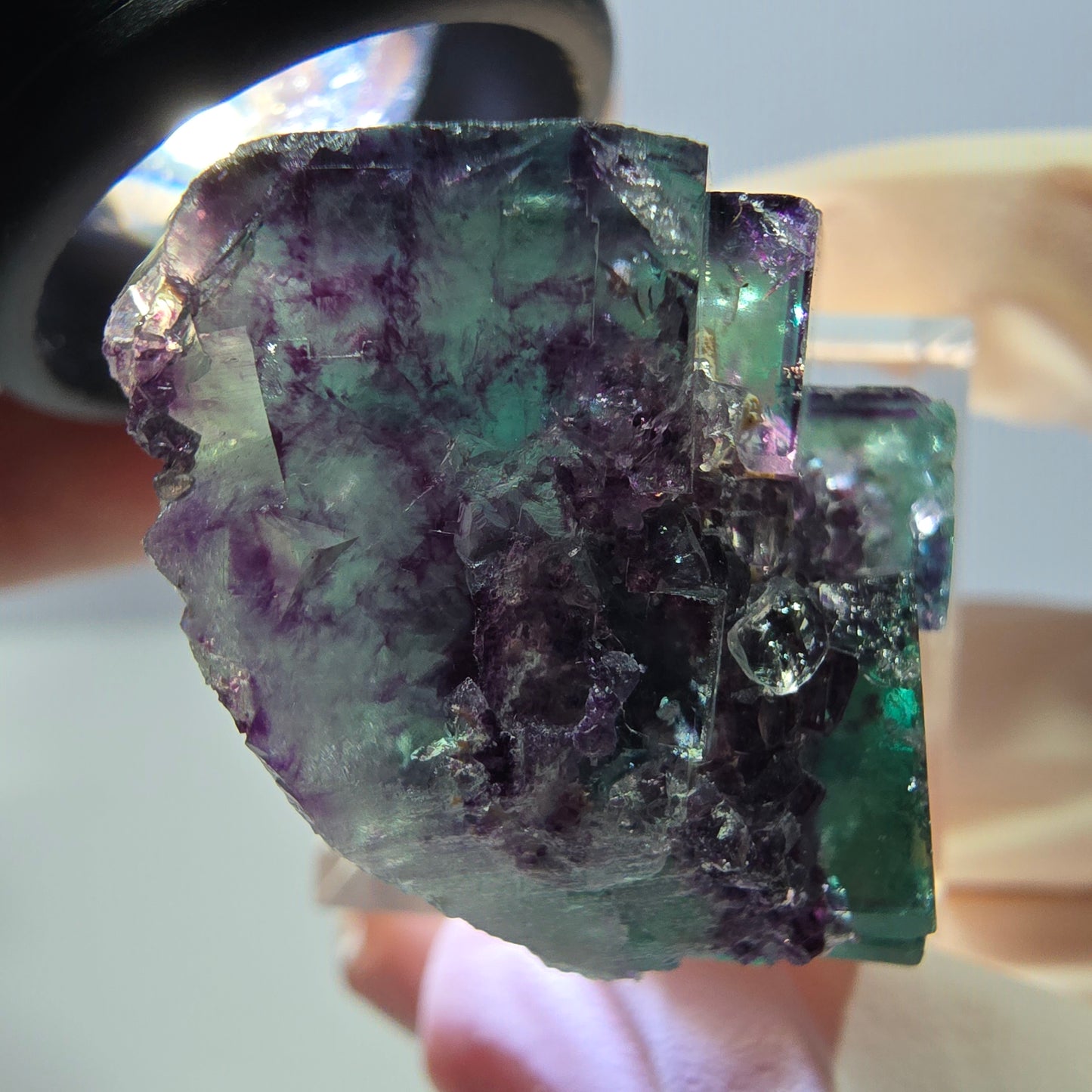 Phantom Fluorit Würfel Stufe, lila grün Okorusu, Namibia 36*22*16mm