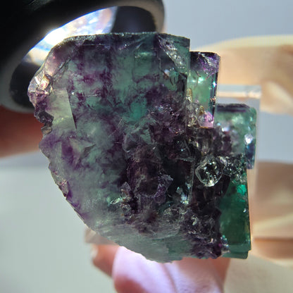 Phantom Fluorit Würfel Stufe, lila grün Okorusu, Namibia 36*22*16mm