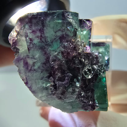 Phantom Fluorit Würfel Stufe, lila grün Okorusu, Namibia 36*22*16mm