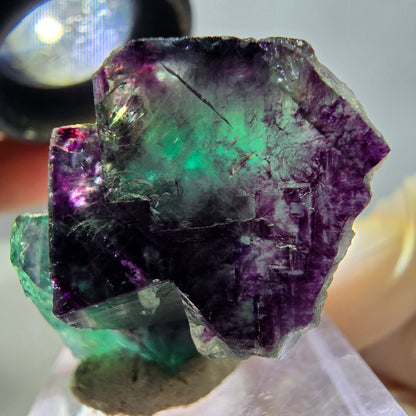 Phantom Fluorit Würfel Stufe, lila grün Okorusu, Namibia 36*22*16mm