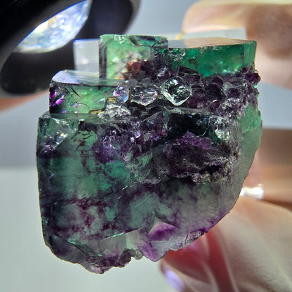 Phantom Fluorit Würfel Stufe, lila grün Okorusu, Namibia 36*22*16mm