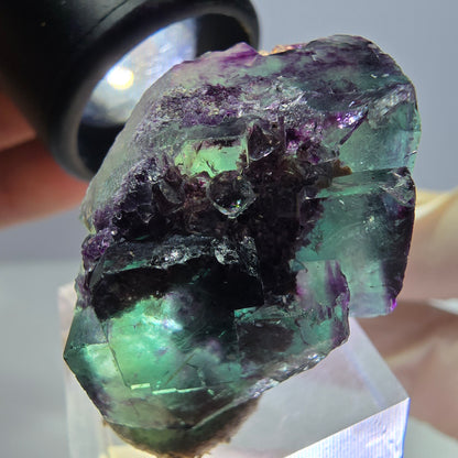 Phantom Fluorit Würfel Stufe, lila grün Okorusu, Namibia 36*22*16mm