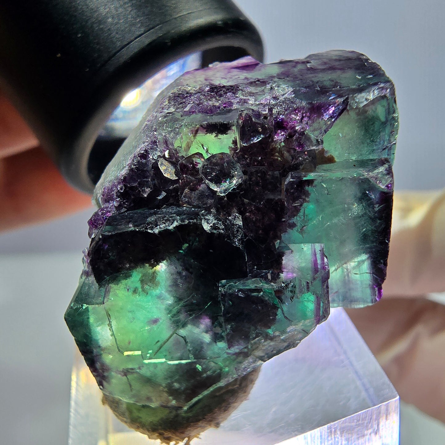 Phantom Fluorit Würfel Stufe, lila grün Okorusu, Namibia 36*22*16mm