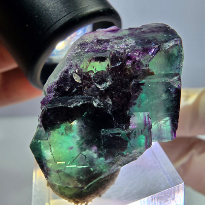 Phantom Fluorit Würfel Stufe, lila grün Okorusu, Namibia 36*22*16mm