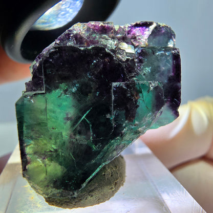 Phantom Fluorit Würfel Stufe, lila grün Okorusu, Namibia 36*22*16mm