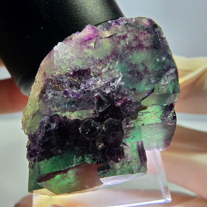 Phantom Fluorit Würfel Stufe, lila grün Okorusu, Namibia 36*22*16mm
