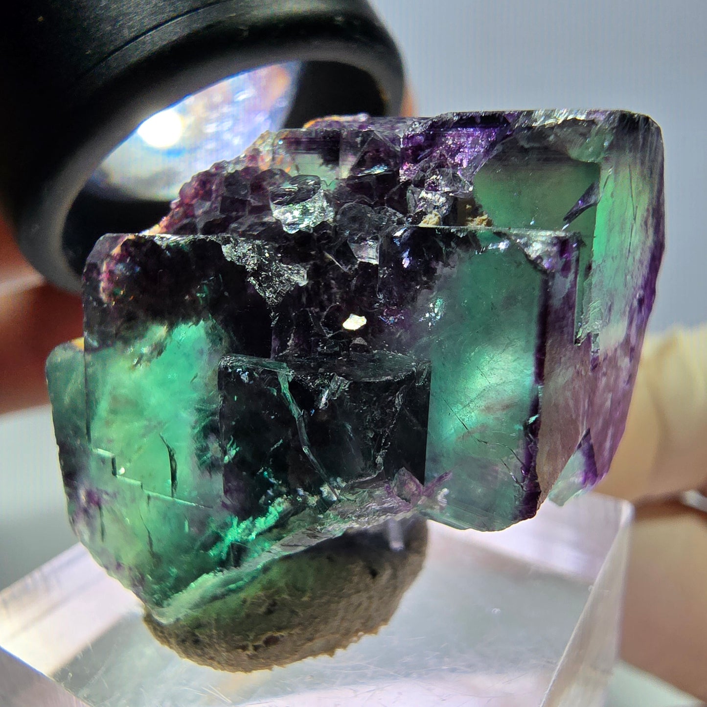 Phantom Fluorit Würfel Stufe, lila grün Okorusu, Namibia 36*22*16mm