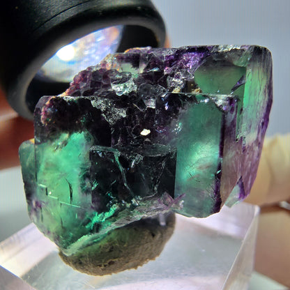 Phantom Fluorit Würfel Stufe, lila grün Okorusu, Namibia 36*22*16mm
