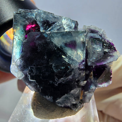 Phantom Fluorit Würfel Stufe, lila grün Okorusu, Namibia 38*28*15mm