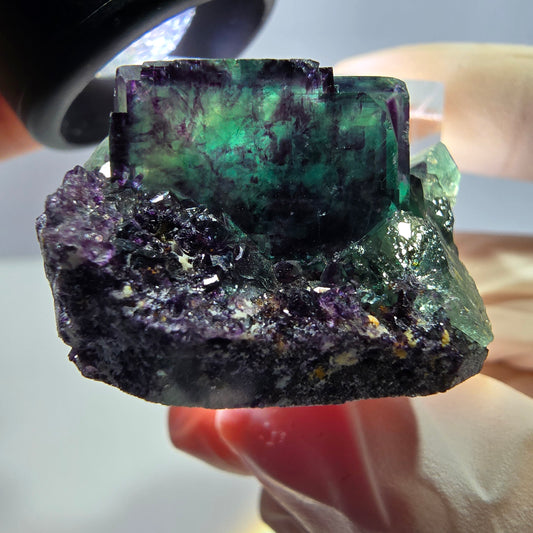 Phantom Fluorit Würfel Stufe, lila grün Okorusu, Namibia 31*26*18mm