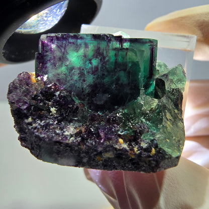 Phantom Fluorit Würfel Stufe, lila grün Okorusu, Namibia 31*26*18mm