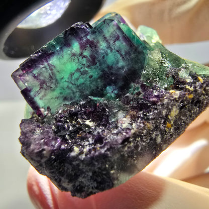 Phantom Fluorit Würfel Stufe, lila grün Okorusu, Namibia 31*26*18mm