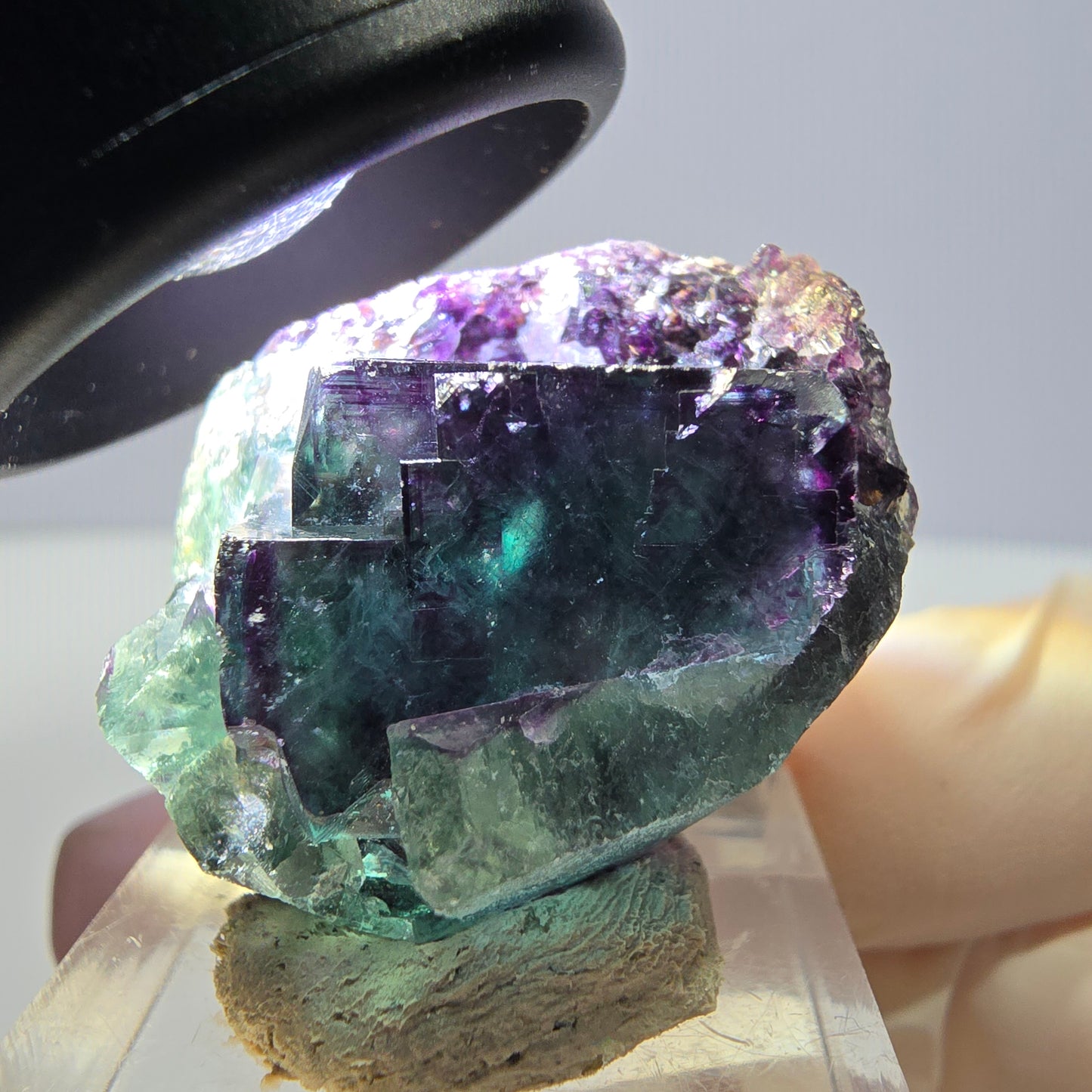 Phantom Fluorit Würfel Stufe, lila grün Okorusu, Namibia 31*26*18mm