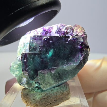 Phantom Fluorit Würfel Stufe, lila grün Okorusu, Namibia 31*26*18mm