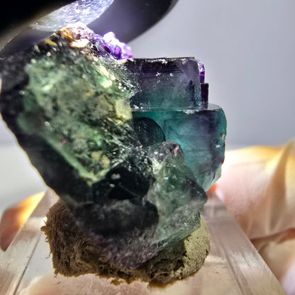 Phantom Fluorit Würfel Stufe, lila grün Okorusu, Namibia 31*26*18mm