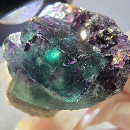 Phantom Fluorit Würfel Stufe, lila grün Okorusu, Namibia 31*26*18mm