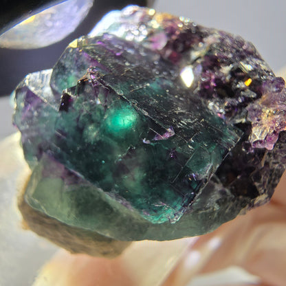 Phantom Fluorit Würfel Stufe, lila grün Okorusu, Namibia 31*26*18mm