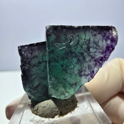 Phantom Fluorit Würfel Stufe, lila grün Okorusu, Namibia 40*25*18mm