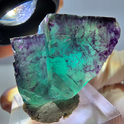 Phantom Fluorit Würfel Stufe, lila grün Okorusu, Namibia 40*25*18mm