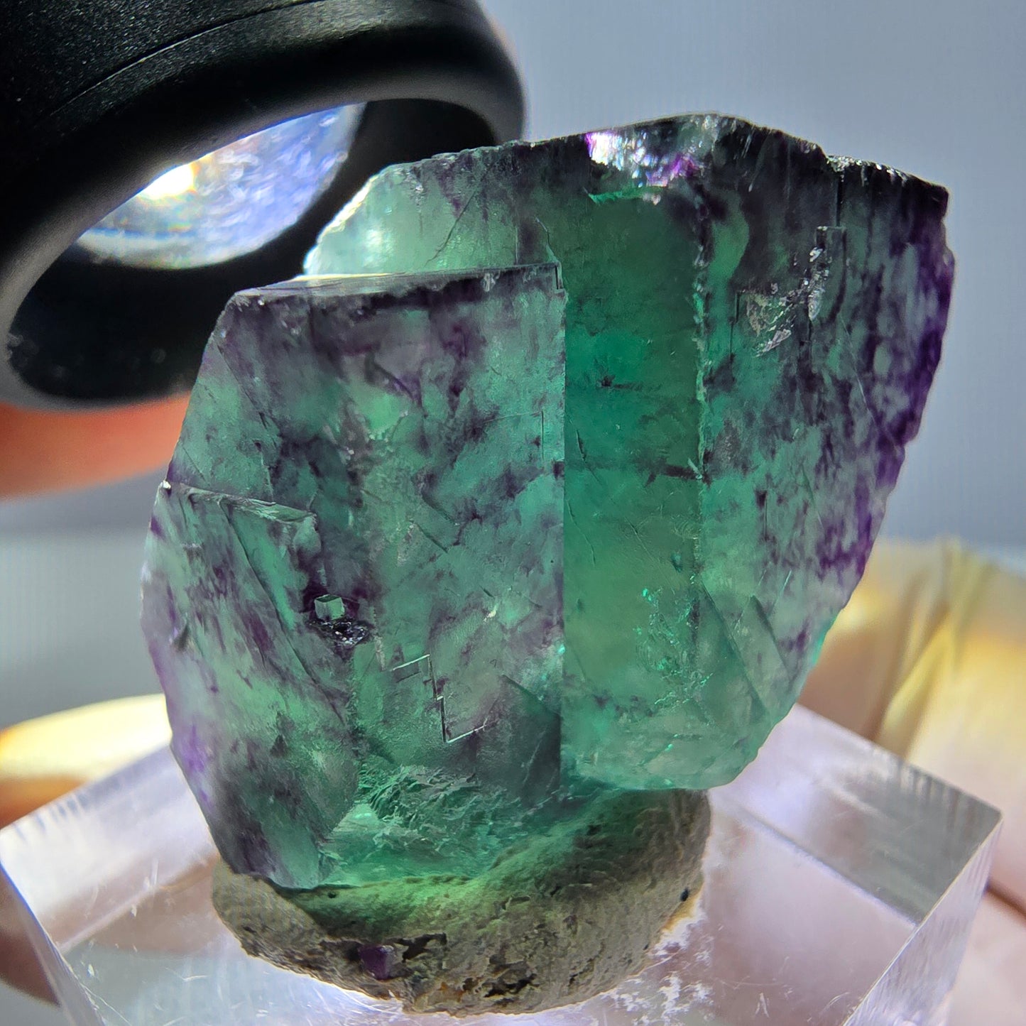 Phantom Fluorit Würfel Stufe, lila grün Okorusu, Namibia 40*25*18mm