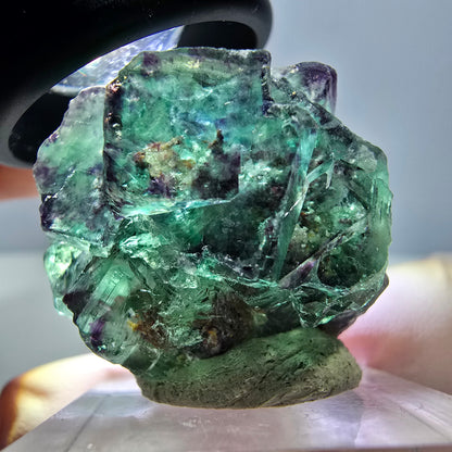 Phantom Fluorit Würfel Stufe, lila grün Okorusu, Namibia 30*28*18mm
