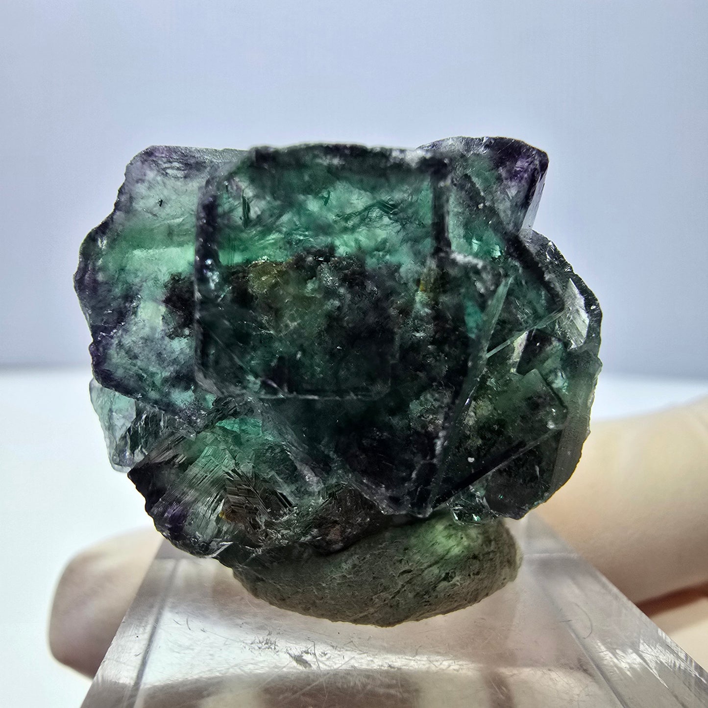 Phantom Fluorit Würfel Stufe, lila grün Okorusu, Namibia 30*28*18mm