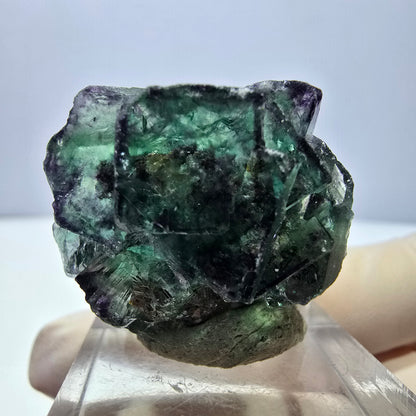 Phantom Fluorit Würfel Stufe, lila grün Okorusu, Namibia 30*28*18mm