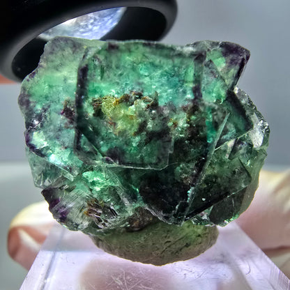 Phantom Fluorit Würfel Stufe, lila grün Okorusu, Namibia 30*28*18mm