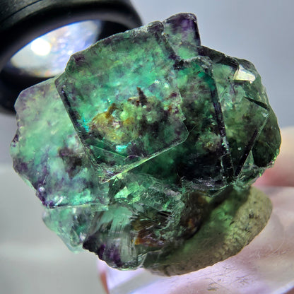 Phantom Fluorit Würfel Stufe, lila grün Okorusu, Namibia 30*28*18mm