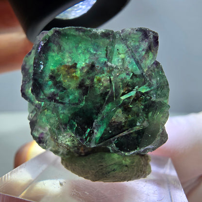 Phantom Fluorit Würfel Stufe, lila grün Okorusu, Namibia 30*28*18mm