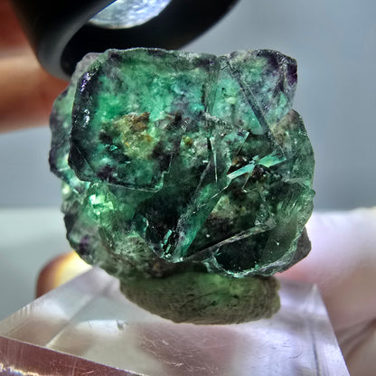 Phantom Fluorit Würfel Stufe, lila grün Okorusu, Namibia 30*28*18mm